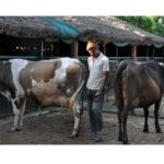 Dairy farmers to get Rs 4 per litre milk more till March 2023