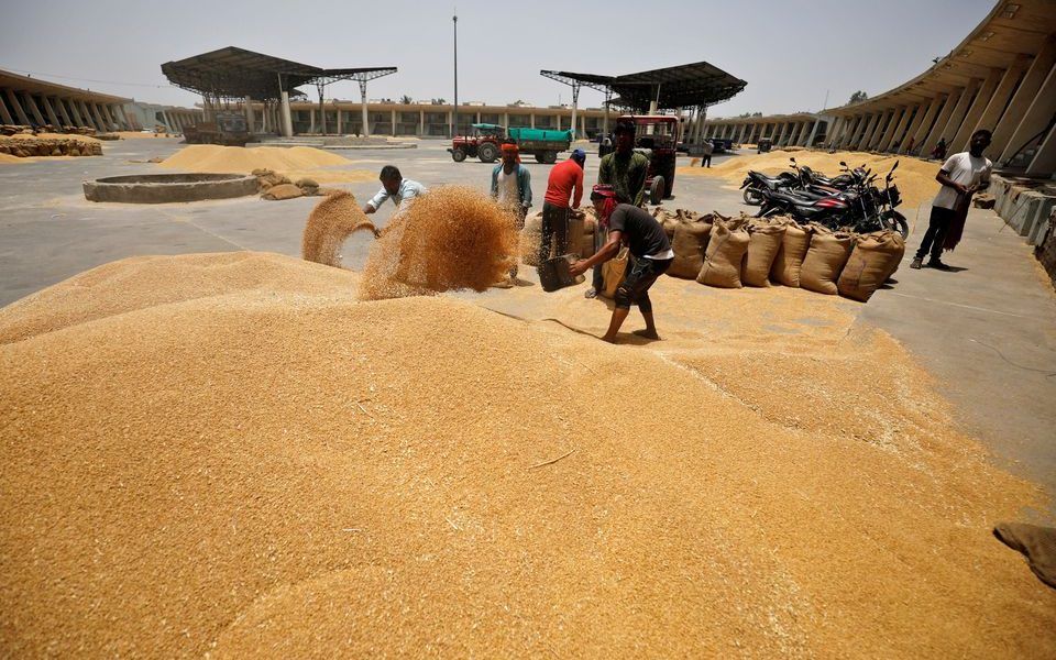 How a Rise in Wheat Straw Prices Has Wreaked Havoc on Animal Rearing