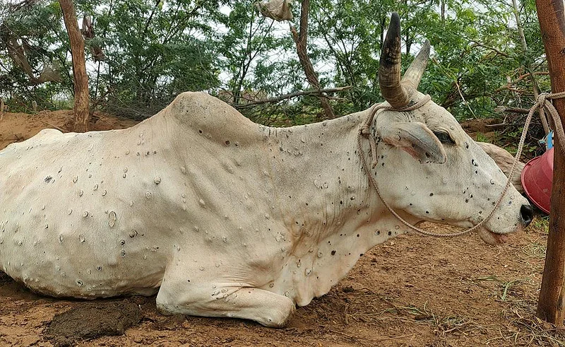 Maharashtra