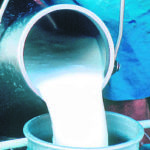 Haryana to raise purchase price of milk