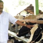 Incentive of ₹5 per litre of milk for dairy farmers under TRCMPU