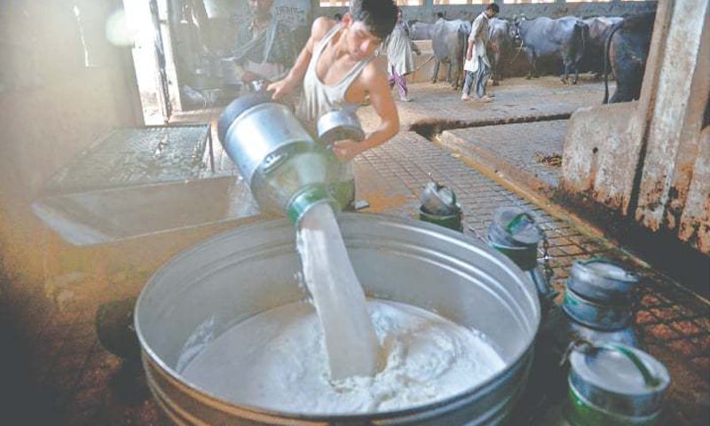 Milk Price Increases in Karachi