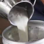 TN Milk Producers Welfare Association announces strike from Oct 28 conv