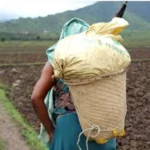 60 farmer cooperatives in Manipur to be digitised