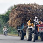 Fodder inflation could really shrink milk output