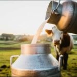 Govt making reformative interventions to amplify milk production across Jammu and Kashmir