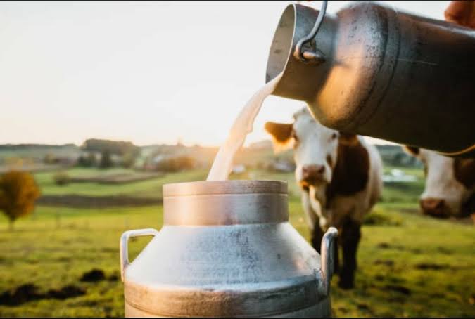 Govt making reformative interventions to amplify milk production across Jammu and Kashmir