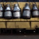 Karnataka Final decision on milk price in two days conv