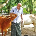 Kerala pushes for maize farming to boost dairy productivity, control fodder prices