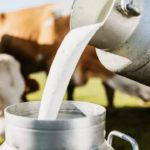 Lumpy Skin Disease had Minor Impact on India’s Milk Output This Year USDA