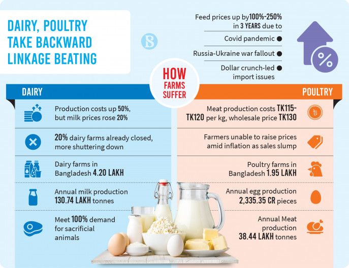 Sky-high feed prices pushing poultry, dairy farmers over the edge