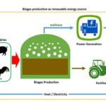 Suzuki Motor and National Dairy Development Board sign MoU to study commercialization of biogas