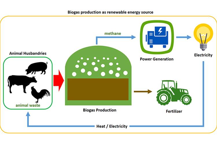 Suzuki Motor and National Dairy Development Board sign MoU to study commercialization of biogas