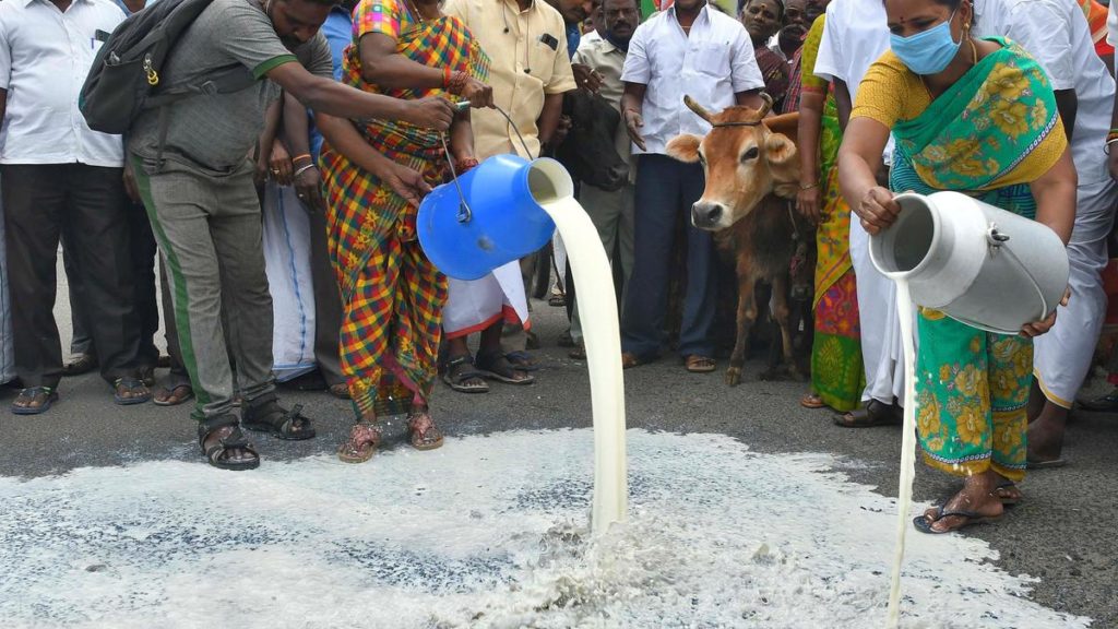 Dairy farmers protest