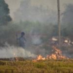 Tackling stubble burning