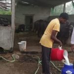 This dairy farmer takes home Rs 1.3 lakh per month