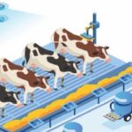 Uberizing the Indian dairy sector