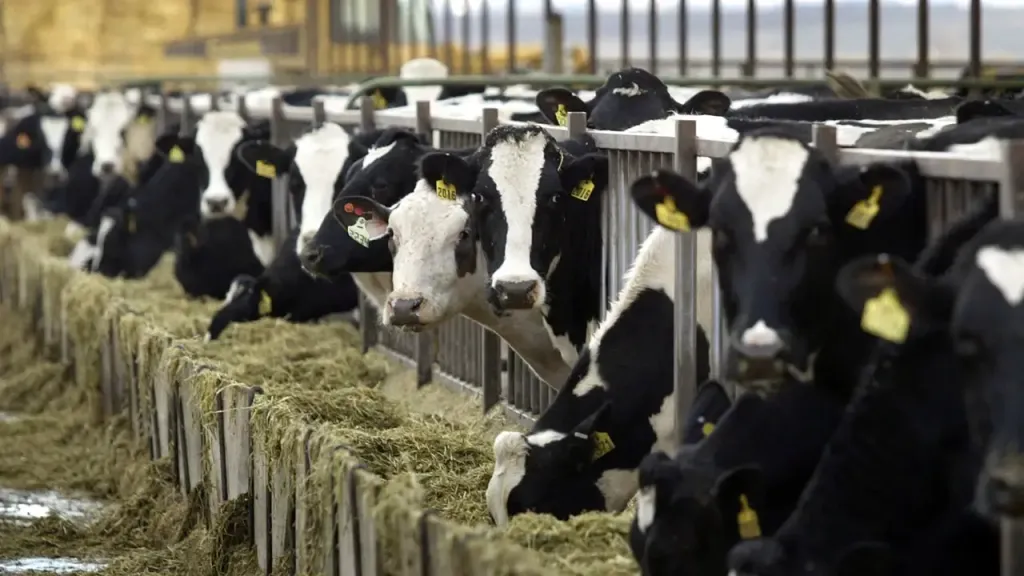 Dairy farmers becoming self-reliant, market access being provided through ODOP