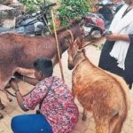 Most customers buy at least 50ml of milk which costs Rs 100, says a vendor.