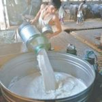 Another shock as milk price reaches Pak Rs 210 a litre in Karachi