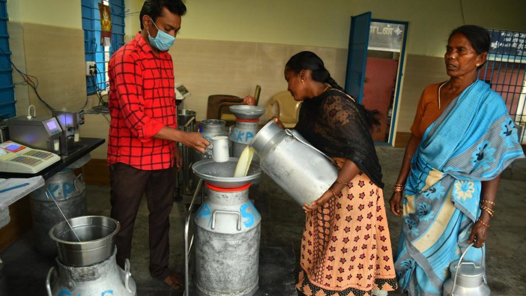 Milk being procured from members at the Milk Producers Co operative Society in Salem.