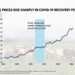 Soaring milk prices are hitting household budgets & relief is unlikely till Diwali