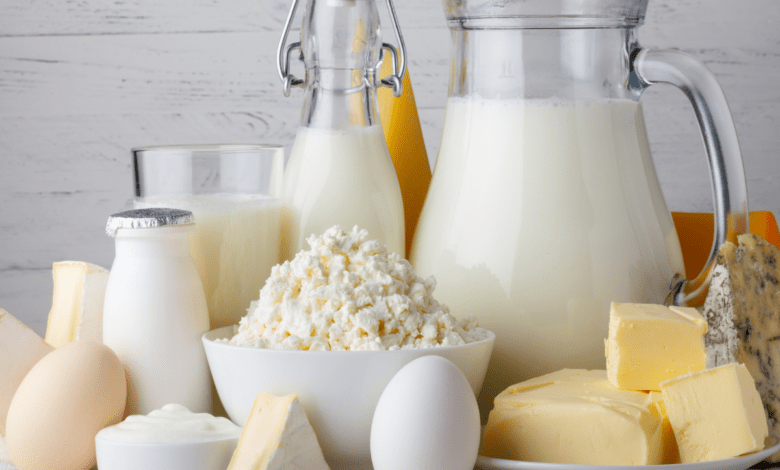 Dairy products manufacturing companies in India