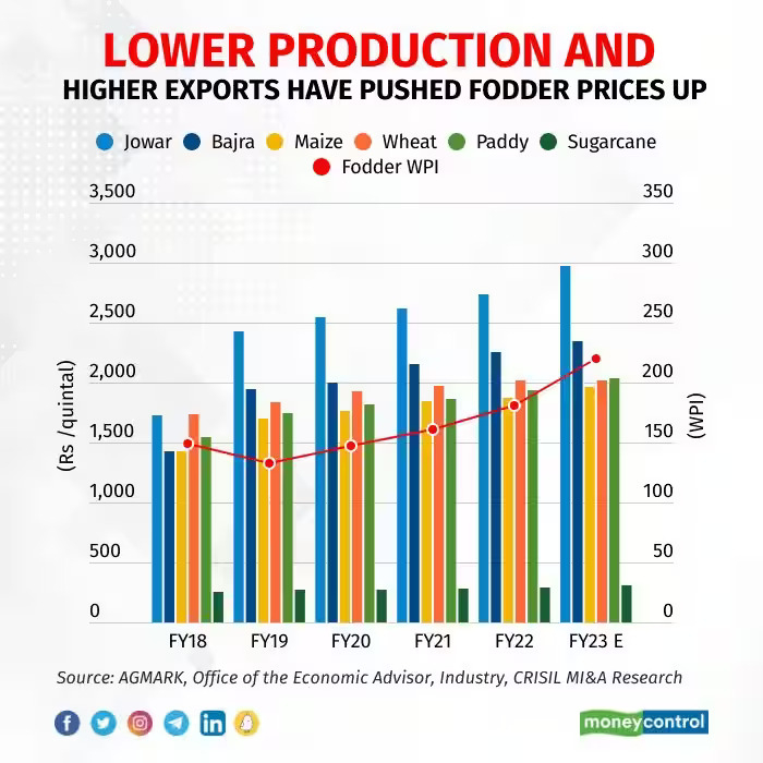 Buoyant demand, inadequate supply to push milk prices higher2