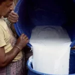 Dairy farmers empty milk on streets in Coimbatore calling for higher procurement price