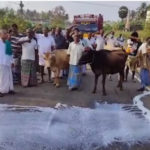 Dairy farmers brought along their cows and demonstrated on the roads.