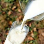 No let-up in elevated milk prices seen this summer