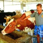 Retired SI started dairy farming in 2013, now earns Rs 2 lakh monthly