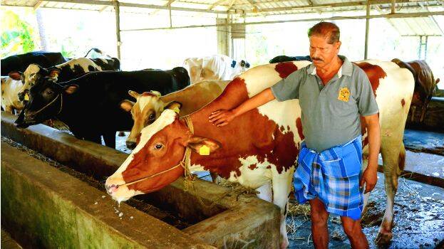 Retired SI started dairy farming in 2013, now earns Rs 2 lakh monthly