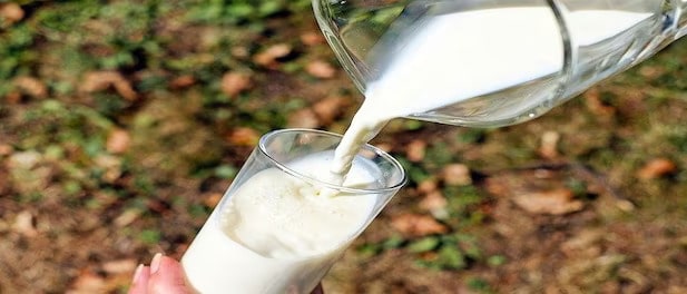 Ample availability of milk, some concerns on butter stocks in India conv