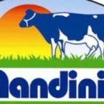 Amul vs Nandini, Why Amul brand is facing backlash from opposition, locals in Karnataka conv