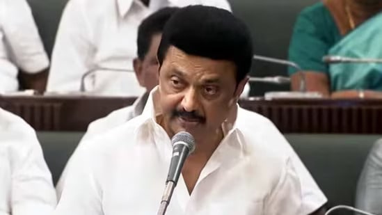 'Dahi' or 'tayyir'? 'Hindi imposition' battle over curd, MK Stalin slams centre