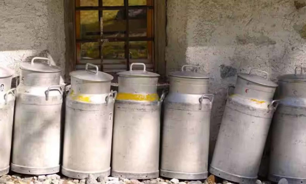 India needs to be export competitive to capture overseas market for surplus milk Niti Aayog member