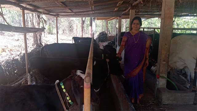 Sirsi woman earns a lac rupees through dairy farming