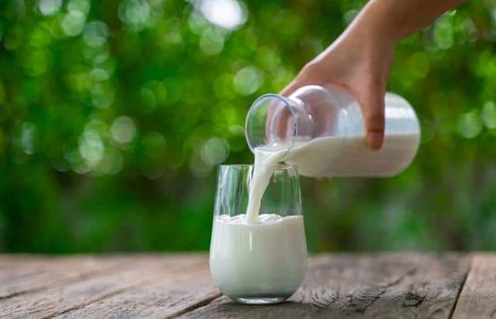 State will offer concessions for global promotion of milk products in UP