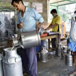 Beyond Nandini-Amul debate, dairying is an uphill task for many