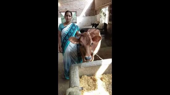 Mother’s Day Special Supermom’s dairy business uplifts Sitapur village, helps women afford kids’ education conv