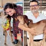 Vadodara doctor couple run dairy farm, supply organic milk