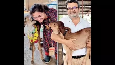 Vadodara doctor couple run dairy farm, supply organic milk