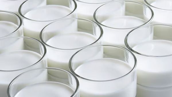 What’s going on with India’s milk economy