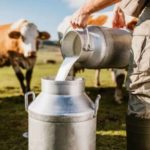 White Revolution in India Transforming Dairy Industry and Rural Economy