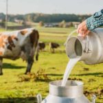 A stimulus to dairy processing in India