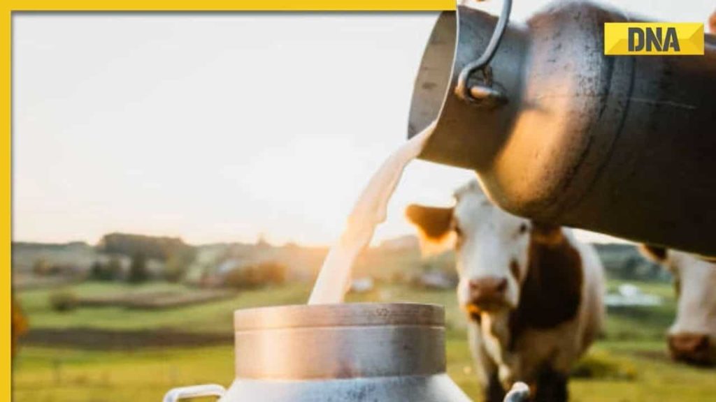 How to detect water adulteration in milk, easy home method revealed by FSSAI