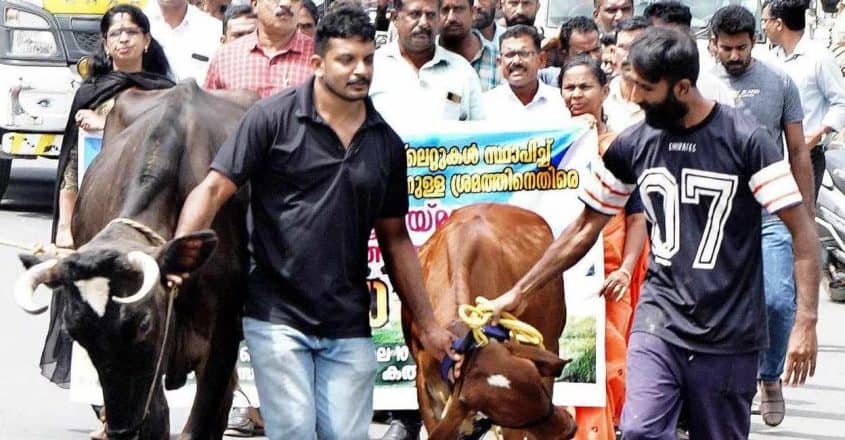 Nandini entry Alarmed farmers, milk co-operatives seek govt support