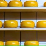 Cheese wheels placed on wooden shelf