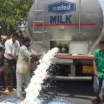 Dairy farmers set to reap benefit of 3rd milk chilling centre in Deogarh